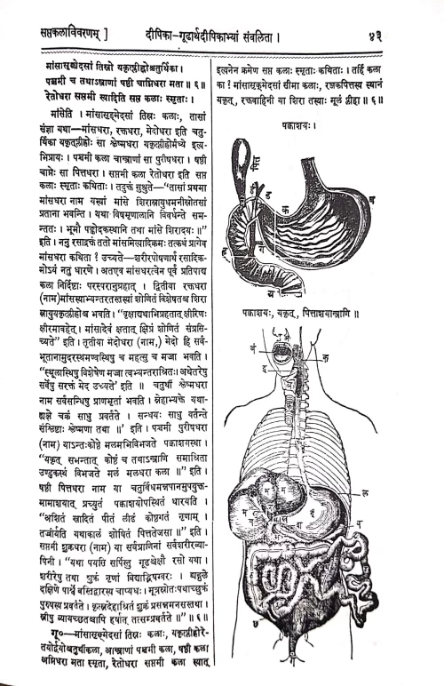 Sharangadhar Samhita ( KAS 14)